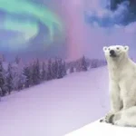 Terrán ClimaControl betoncserepek