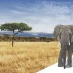 Terrán Resistor betoncserepek