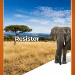 Terrán Resistor betoncserepek